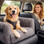 Advantages of Dog Car Seats